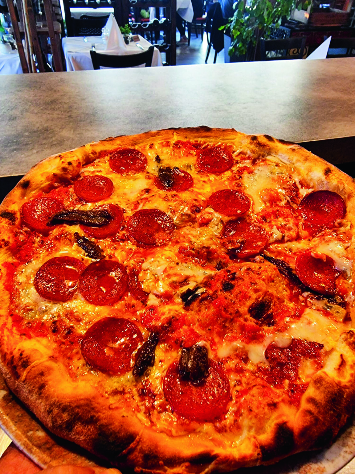 PHOTO-2022-12-13-14-45-07 (2)